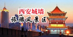 成年视频,插入骚逼中国陕西-西安城墙旅游风景区